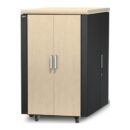 APC AR4024SP 72"Hx24"Wx36"D Enclosure with Solid Top Panel