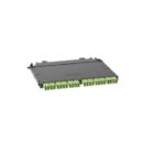 Panduit FHCWO-24-10U HD Flex Cassette, 24-Fiber, OM5, Optimized